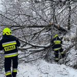 Atak zimy. Na Podkarpaciu wciąż bez prądu ok. 90 tys. domów, 650 interwencji straży