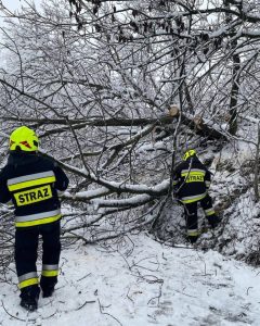 Atak zimy. Na Podkarpaciu wciąż bez prądu ok. 90 tys. domów, 650 interwencji straży