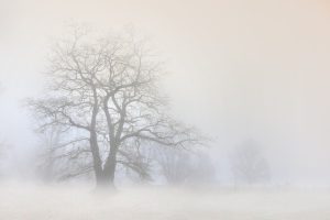 Meteorolodzy ostrzegają: marznące opady i mgła na Podkarpaciu