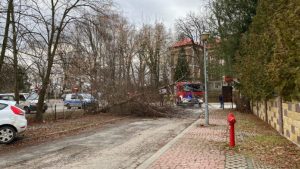 Silny wiatr na Podkarpaciu. Prawie 100 interwencji strażaków w całym regionie