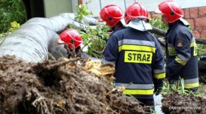 Silny wiatr na Podkarpaciu. Powalone drzewa, zerwane dachy, domy bez prądu