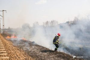 Wróciła niechlubna tradycja. Znów płoną trawy. 315 pożarów na Podkarpaciu!