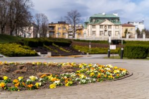 Zamiatanie, nasadzenia i pielęgnacja zieleni. Będą też kolejne przeszkody dla aut