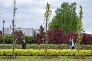 #Sadzimy RzeszÃ³w. W piÄtek w Parku Papieskim piknik ekologiczny