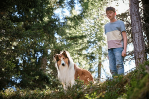 âLassie. Nowe przygodyâ i âNawiedzony dwÃ³râ premierowo w Multikinie