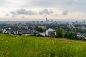 Miasto zapowiada: na rzeszowskim Zalesiu powstanie park dendrologiczny