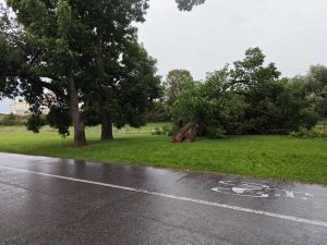 NawaÅnica na Podkarpaciu! Ponad 400 interwencji straÅ¼y poÅ¼arnej, domy bez prÄdu!