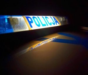 Wypadek czteroosobowej rodziny w BÅaÅ¼owej. Toyota w ogniu