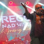 „Reggae nad Wisłokiem". RDK szuka pomocników do organizacji festiwalu