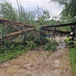 Bilans nawałnicy: prawie 500 interwencji, ponad 70 uszkodzonych dachów