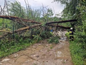 Bilans nawałnicy: prawie 500 interwencji, ponad 70 uszkodzonych dachów