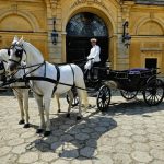 Do parku Muzeum-Zamku w Łańcucie wróciły spacery powozem