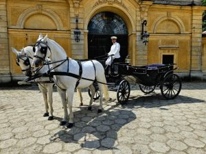 Do parku Muzeum-Zamku w Łańcucie wróciły spacery powozem