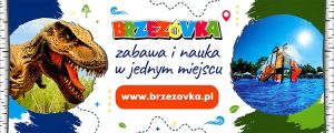 Nowa hala sportowa I Liceum Ogólnokształcącego jest już gotowa