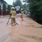 Skutki burz na Podkarpaciu: zalane posesje, połamane drzewa