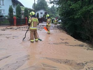 Skutki burz na Podkarpaciu: zalane posesje, połamane drzewa