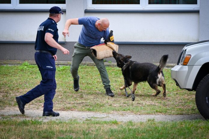 pies-sluzbowy-policja-szkolenie