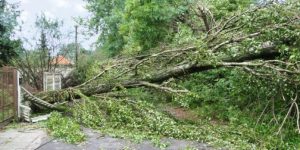 Prawie 100 interwencji strażaków w związku z burzami