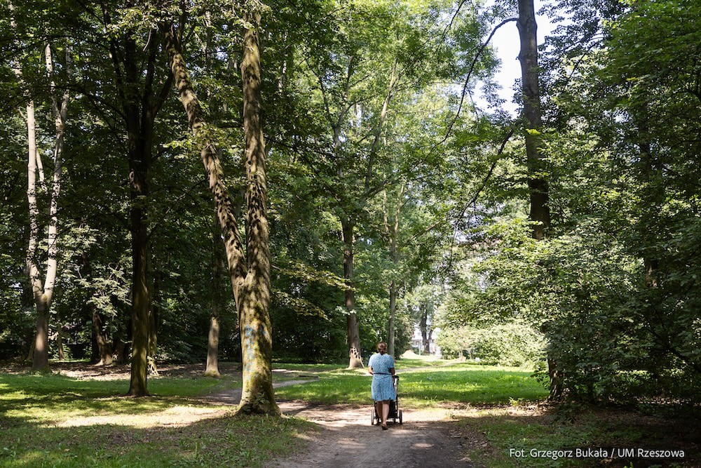 park-na-osiedlu-slocina