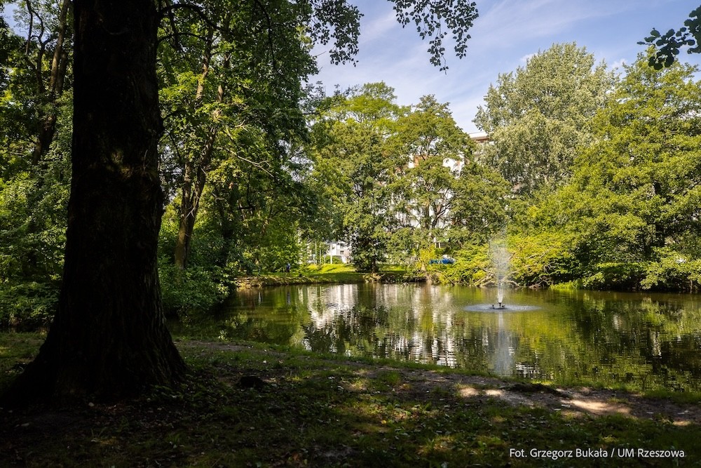 park-na-osiedlu-slocina