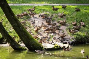 Prawie 2,5 mln złotych na park na osiedlu Słocina