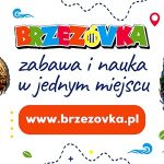 Weekend na rzeszowskich drogach: 8 wypadków, 9 osób rannych