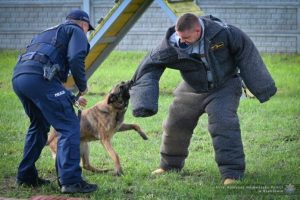 Policyjne psy przeszły egzamin. Wszystkie zdały szczekająco [ZDJĘCIA]