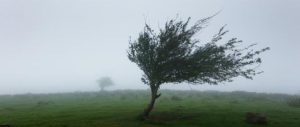 Będzie wiało. Meteorolodzy ostrzegają