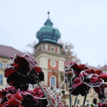 Muzeum-Zamek w Łańcucie ma 80 lat. Dziś jubileuszowa gala [JESIENNE ZDJĘCIA]