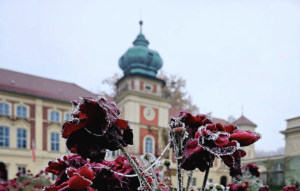 Muzeum-Zamek w Łańcucie ma 80 lat. Dziś jubileuszowa gala [JESIENNE ZDJĘCIA]