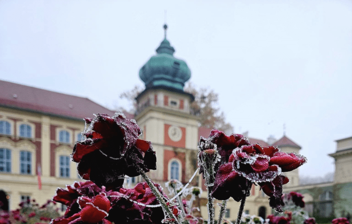 muzeum-zamek-lancut-jesien-2024