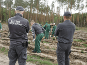 Prokuratura bada czy w Rzeszowie przekroczono uprawnienia w programie "Praca dla więźniów"