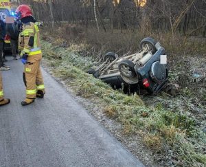 Dachowała przez psa. Szukają właściciela czworonoga
