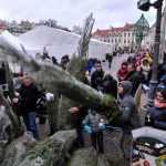 Ile w tym roku zapłacimy za "żywą" choinkę?