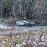 Złodzieje mchu i paproci kontra policja na quadach. Akcja pod kryptonimem „Stroisz”