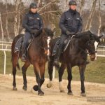 Nowi funkcjonariusze w podkarpackiej policji. Wag i Bary będą służyć w prewencji