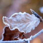 Zima na Podkarpaciu. Najbliższa noc bardzo chłodna, ale dni coraz cieplejsze, w weekend prawie wiosna