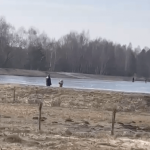 Wędkarze weszli na zbiornik sprawdzić grubość lodu, dzieci biegały po zalewie [FILMY]