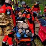 16-latek ukąszony przez żmiję w Bieszczadach. Po akcji służb ratunkowych trafił do szpitala [ZDJĘCIA]