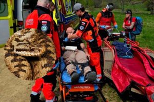 16-latek ukąszony przez żmiję w Bieszczadach. Po akcji służb ratunkowych trafił do szpitala [ZDJĘCIA]