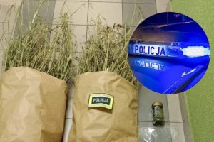 Matka powiadomiła policję o narkotykach… u swojego syna. Dwóch mężczyzn usłyszało zarzuty