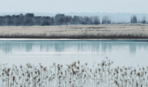 Pejzaż jako poetycka refleksja – podwójny wernisaż wystawy malarskiej