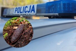 Pocisk artyleryjski znaleziony podczas spaceru po lesie. Niebezpieczny niewybuch na Podkarpaciu