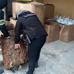 Nielegalna krajalnia tytoniu w powiecie rzeszowskim rozbita. Wpadli podczas "pracy" [WIDEO]