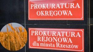 Prokuratura w Rzeszowie skierowała kolejne akty oskarżenia w aferze zbożowej