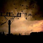 Przerwy w dostawie prądu w Rzeszowie i okolicach do 10 maja [LISTA]