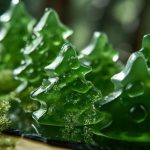 Rzeszów potrafi. Naukowcy mają patent na innowacyjne prozdrowotne żelki