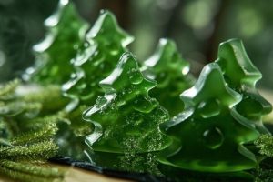 Rzeszów potrafi. Naukowcy mają patent na innowacyjne prozdrowotne żelki