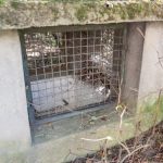 Rzeszów przygotuje miejsca schronienia za unijne pieniądze. Jakie są plany?