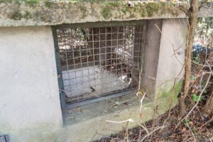 Rzeszów przygotuje miejsca schronienia za unijne pieniądze. Jakie są plany?